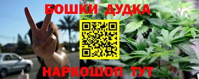 МДПВ Можайск